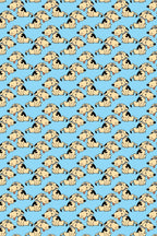 Blusa Estampada Céu de Patas